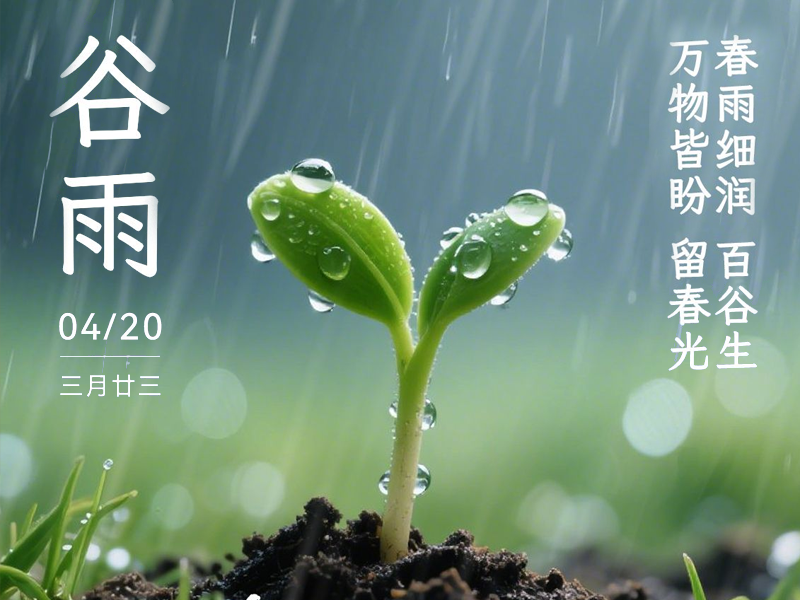 谷雨,容易长胖的15天来了!照着7+21饮食法做,您将收获不一样的自己